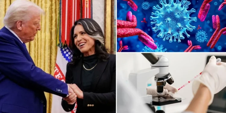 İstihbarat Direktörlüğünden istifa eden Gabbard ABD’nin ‘örtbas edilen’ laboratuvarlarını açıkladı