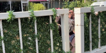Ankara’da LGS’ye girecek öğrenciler okul bahçesine alınmayınca gerginlik yaşandı