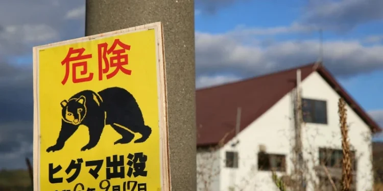 Japonya’da bir fabrikaya giren ayının ‘pencereyi açıp kaçtığı’ düşünülüyor