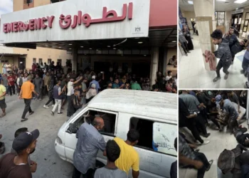 Katil İsrail’in Gazze’ye saldırılarında can kaybı 73 bini aştı