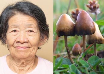 5 yıl boyunca tek kelime etmemişti: Alzheimer hastası yaşlı kadın üzerinde bunu denediler