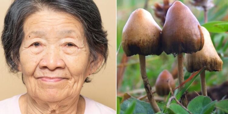 5 yıl boyunca tek kelime etmemişti: Alzheimer hastası yaşlı kadın üzerinde bunu denediler
