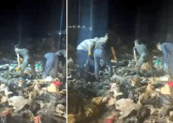 İnsanlık çöpe atıldı: Tekirdağ’ın Çorlu ilçesinde çöplükte bir aylık erkek bebek cesedi bulundu