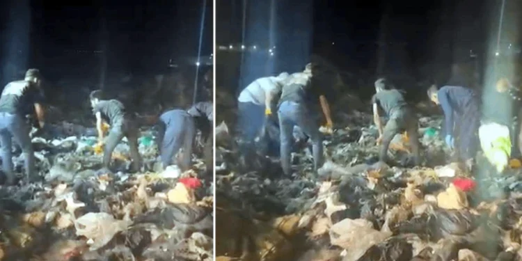 İnsanlık çöpe atıldı: Tekirdağ’ın Çorlu ilçesinde çöplükte bir aylık erkek bebek cesedi bulundu