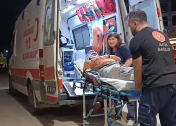 Erik toplarken ağaçtan düşüp, yaralandı