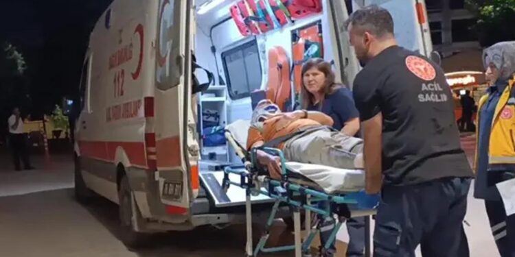 Erik toplarken ağaçtan düşüp, yaralandı