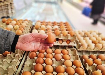Avrupa’da yumurtanın neden bu şekilde saklandığı belli oldu