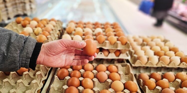 Avrupa’da yumurtanın neden bu şekilde saklandığı belli oldu